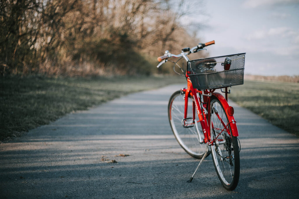 usare la bicicletta